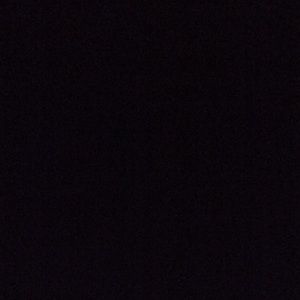 Meet your Posher, Tamra